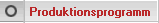 Produktionsprogramm